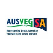 Ausvegsa